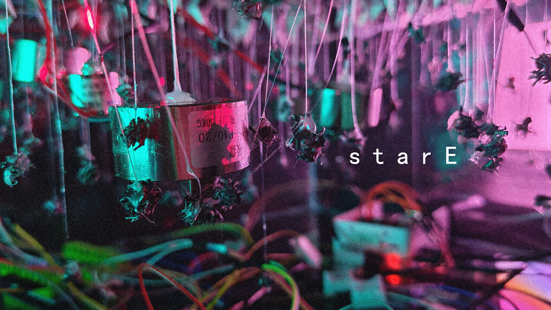 starE 装置作品