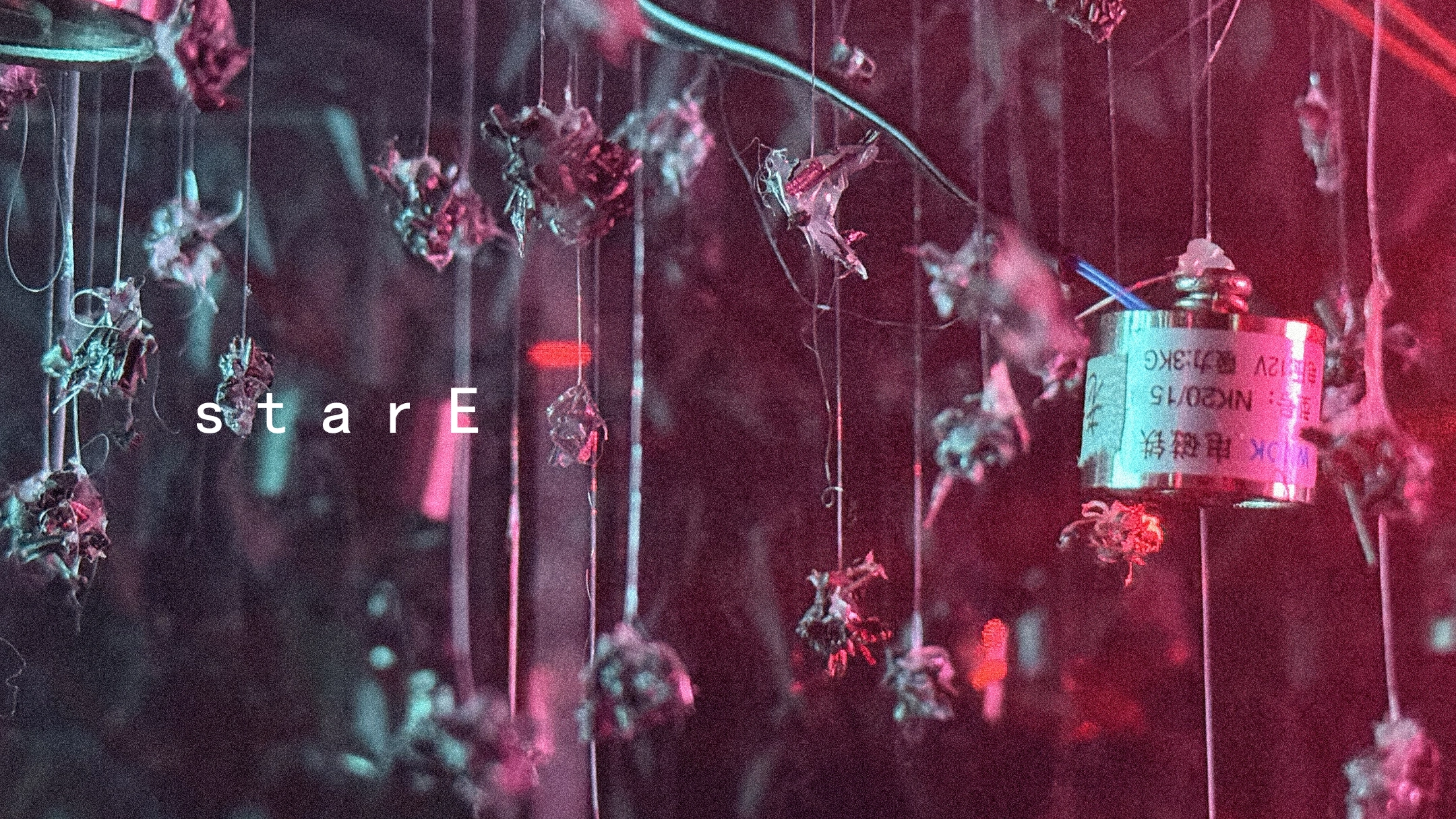 Scene thumbnail 1